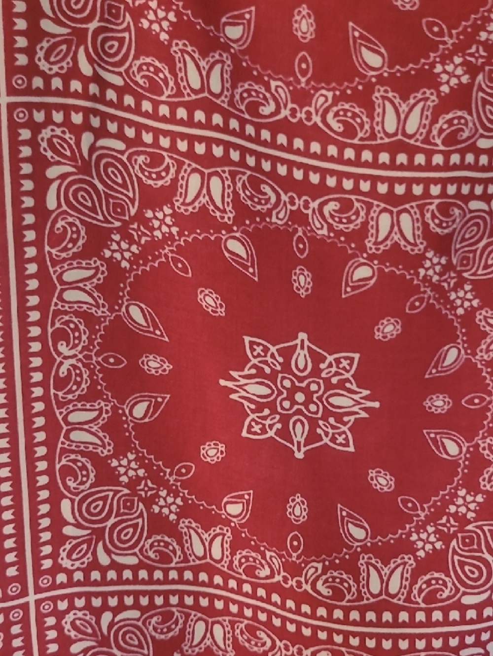 High-Rise Red Bandana-Print Maxi Skirt - Picture 4 of 5